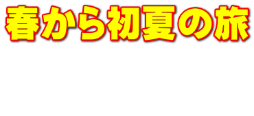 �t���珉�Ă̗�  